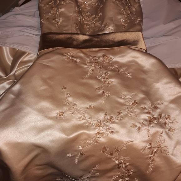 OLEG CASSINI COLLECTION WEDDING DRESS FROM DAVID'S - Picture 7 of 12